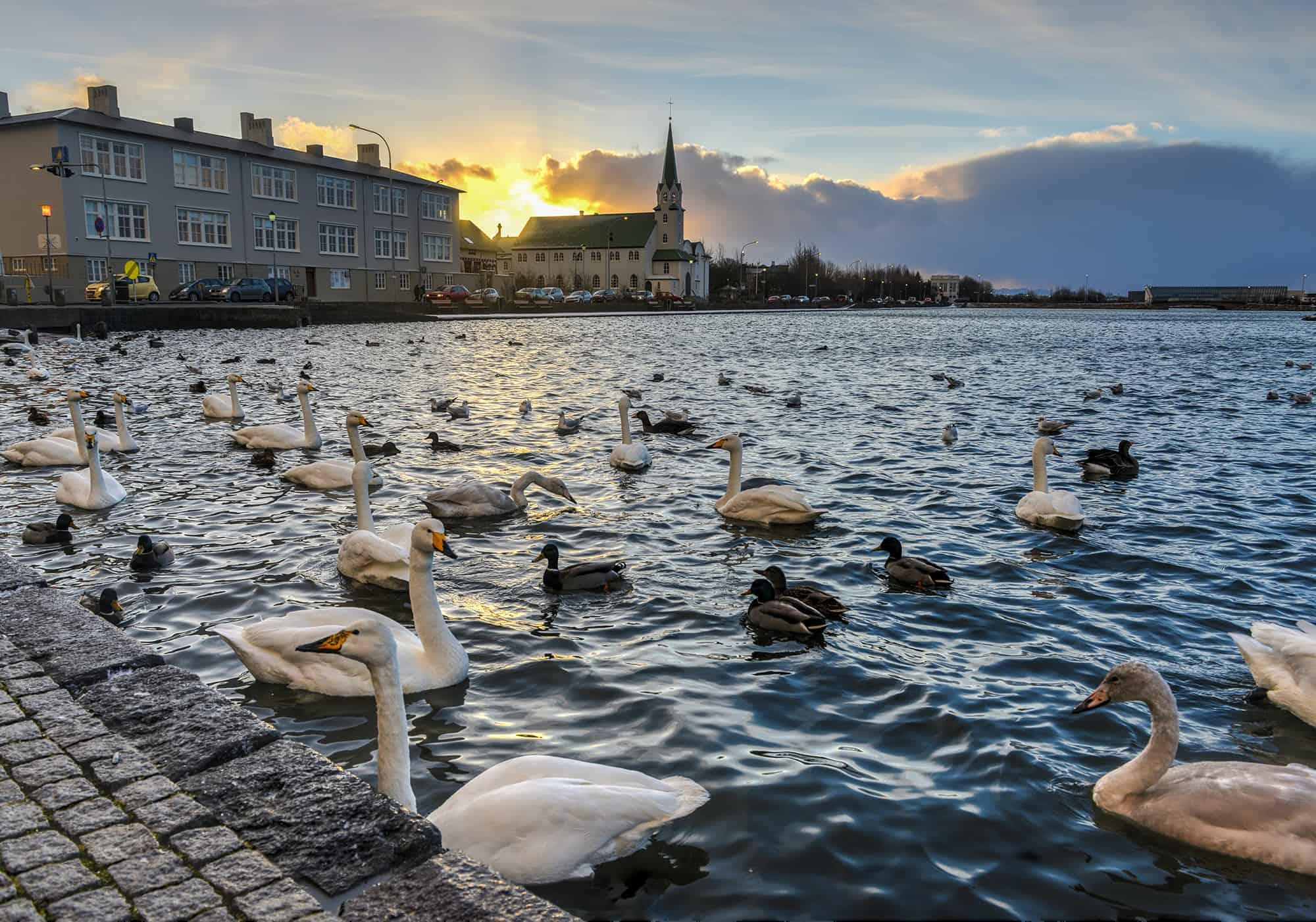 Tjornin lake in Reykjavik